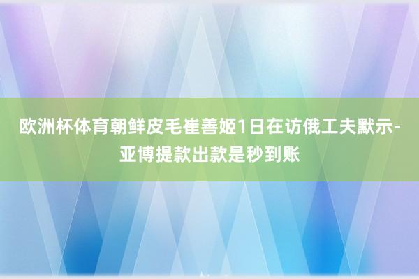 欧洲杯体育朝鲜皮毛崔善姬1日在访俄工夫默示-亚博提款出款是秒到账